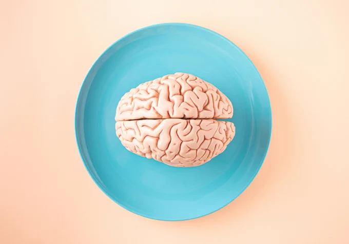 Brain on a plate