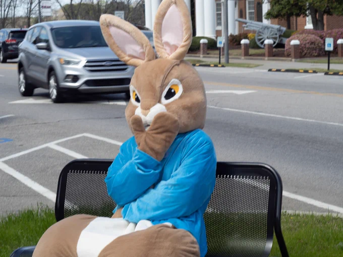 Person in a bunny costume advertising a local coffee shop.  The person did a great job.  