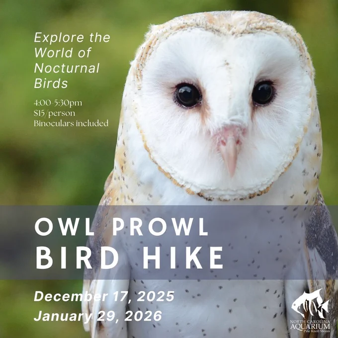 Promotional poster for Owl Prowl Bird Hike at NC Aquarium at Pine Knoll Shores, featuring a close-up image of a barn owl, event details listed with dates and pricing.