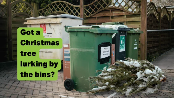 A discarded Christmas tree lies next to several labelled recycling bins in a bin store. Overlayed text reads "Got a Christmas tree lurking by the bins?"