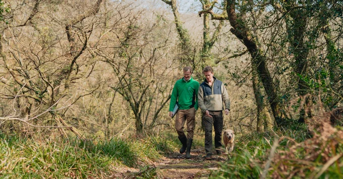 Two people and a dog walking along a woodland path.