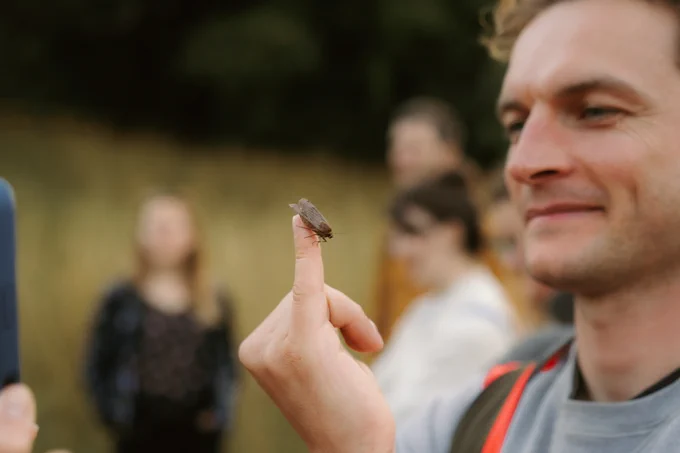 Person inspecting a moth perched on their little finger as others look on in the background
