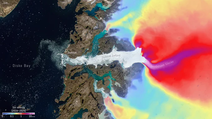 This map, based on Copernicus Sentinel-1 data, shows the speed at which ice is moving horizontally on the Jakobshavn Glacier in Greenland. Half-way up the western coast of Greenland, it is one of the fastest outlet glaciers in the world with velocities reaching, at times, up to 50 m per day.