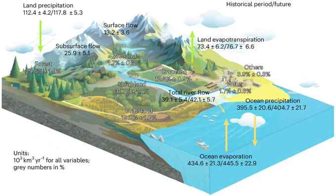 Schematic illustration of the water cycle showing its partitioning using the emergent constraint approach