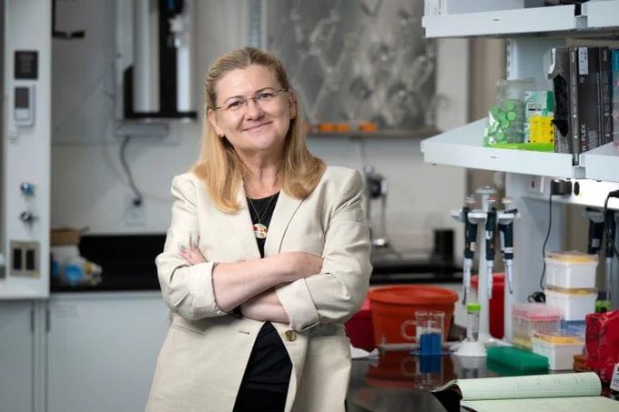Researcher in laboratory. 
