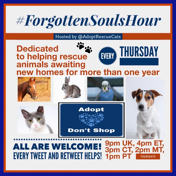 🐶💟🐱 Welcome to #forgottensoulshour, an hour every Thursday dedicated to raising awareness for shelter/rescue #animals waiting for their forever homes more than a year.
 
Everyone is welcome to participate, and every tweet/RT helps!
 
Ready? Let’s go!!
 
#adoptdontshop #cats #dogs