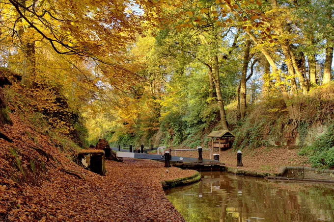 An autumnal scene on the canal glows orange as the sun beams through the trees. At the centre is a still canal lock with a leafy towpath. 