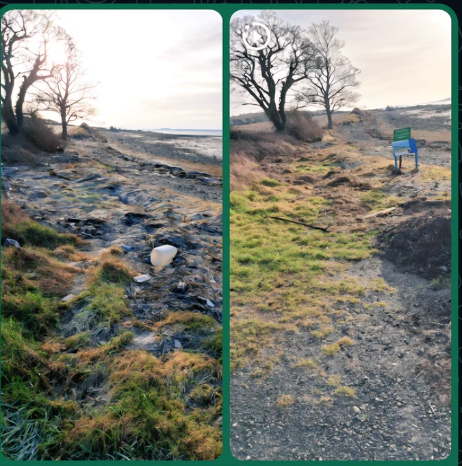 Before and after photos of an area where we litter-picked