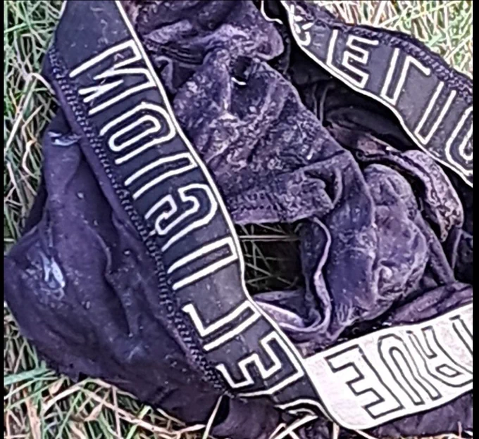 Underwear removed from the hedge on the shoreline