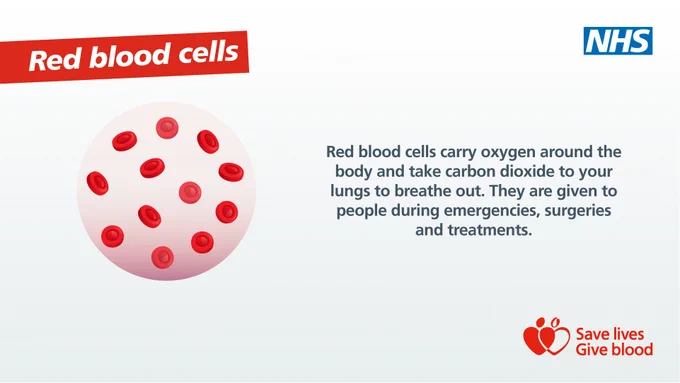 An illustration shows a petri dish containing red circular cells to represent red blood cells. The text reads: 'Red blood cells carry oxygen around the body and take carbon dioxide to your lungs to breathe out. They are given to people during emergencies, surgeries and treatments.'