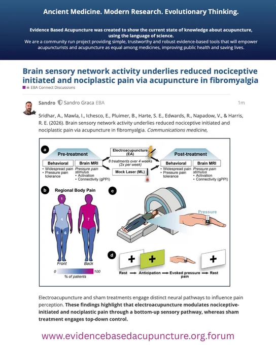 Brain sensory network activity underlies reduced nociceptive initiated and nociplastic pain via acupuncture in fibromyalgia