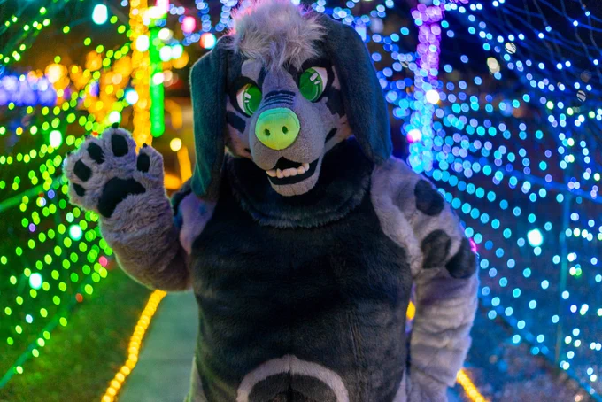 A waist-up photo of a someone wearing a full fursuit. The character is a black and gray beagle with green eyes and nose. They're looking towards the camera with their right paw raised into the air and the left arm is at their side. In the background, you can see the suiter is surrounded by colorful Christmas lights that are softly out-of-focus.