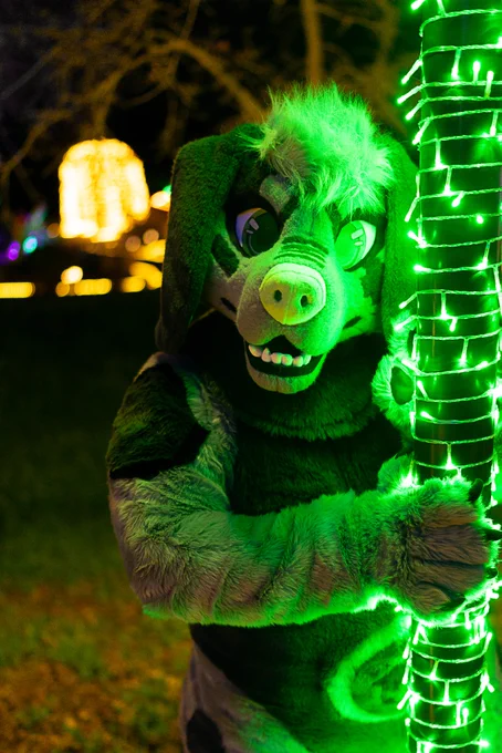 A waist-up photo of a someone wearing a full fursuit. The character is a black and gray beagle with green eyes and nose. They're standing next to a pole covered in green lights . The glow of the lights reflects off of the fursuit. The fursuiter is looking towards the camera with their right paw holding onto the lightpole. 