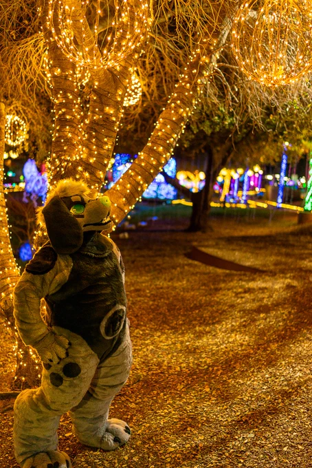A photo of a someone wearing a full fursuit. The character is a black and gray beagle with green eyes and nose. They're standing next to a tree wrapped in warm-colored lights . The fursuiter is looking up towards the lights in the tree with their paws on their hips. Various other lights displays can be seen in the background.