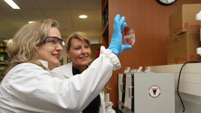 Two scientists in lab coats examining a petri dish in a laboratory.