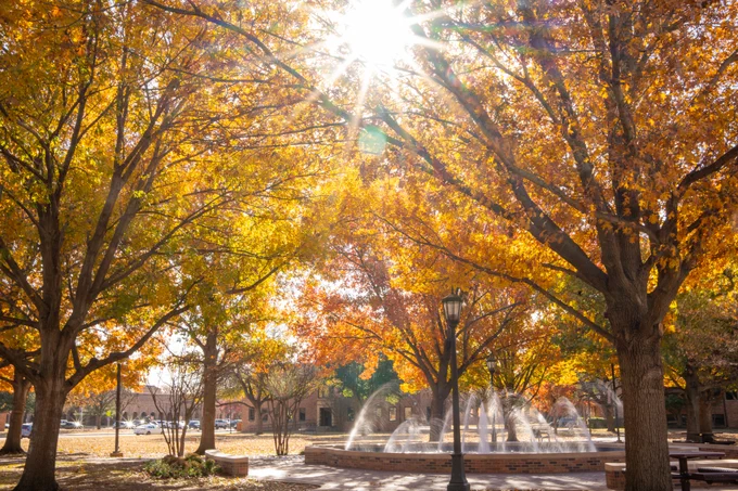 Autumn scenery near Bolin Fountain with vibrant yellow and orange leaves on trees, sunlight filtering through the branches.