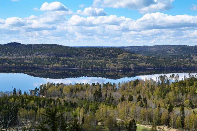 Landskap med blandskog och sjö