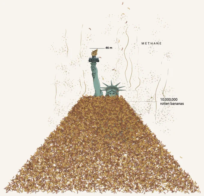 Illustration of a pile of ten million rotten bananas in front of the 46-meter-high Statue of Liberty. The bananas reach up to her chin. The illustration shows that the bananas will produce a lot of methane. This image is part of an interactive article published on Bluesky by Marco Hernández.