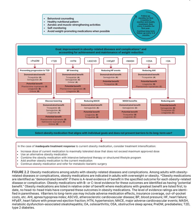 Flowchart illustrating obesity-related disease management, highlighting lifestyle advice and medication strategies. Emphasizes personalized treatment goals.