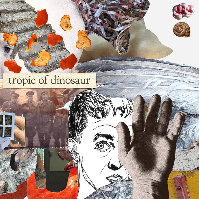 an abstract photo collage with tangerine peel, bird's wing, ink drawing of a man, old photo and other stuff. a small title sais "tropic of dinosaur"