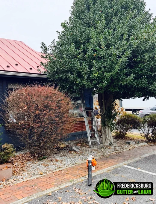 A worker from Fredericksburg Gutter and Lawn stands on a ladder cleaning gutters, with only his legs visible because a large tree overhangs the building. A leaf blower sits on the brick walkway below, showing the challenges of accessing gutters blocked by heavy tree growth.