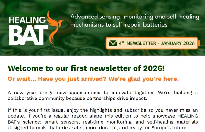 HEALING BAT Newsletter - January 2026