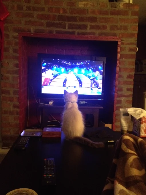 Vortex Dimensions: "Pussy-Views" mode