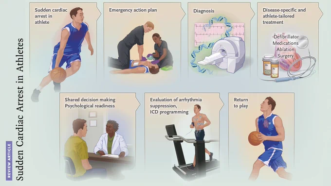 Review Article
Sudden Cardiac Arrest in Athletes

An illustrated diagram of "Return to Play for Athletes Who Survive Sudden Cardiac Arrest."