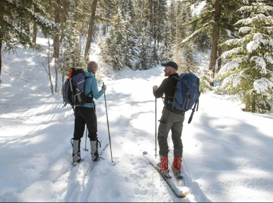 Two people on cross country skis in a snowy forest.