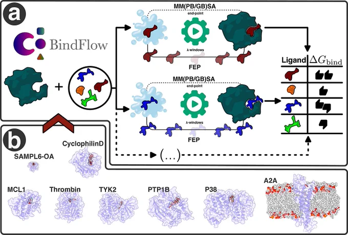 BindFlow: A Free, User-Friendly Pipeline for Absolute Binding Free Energy Calculations Using Free Energy Perturbation or MM(PB/GB)SA
Alejandro Martínez León, Lucas Andersen, and Jochen S. Hub
Journal of Chemical Theory and Computation Article ASAP
DOI: 10.1021/acs.jctc.5c02026
Figure 1より引用（CC BY 4.0）
