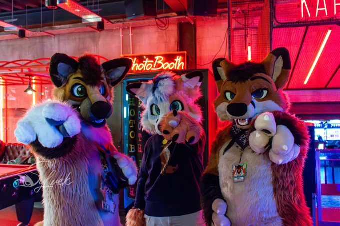 A folf and 2 foxes pointing at the camera 