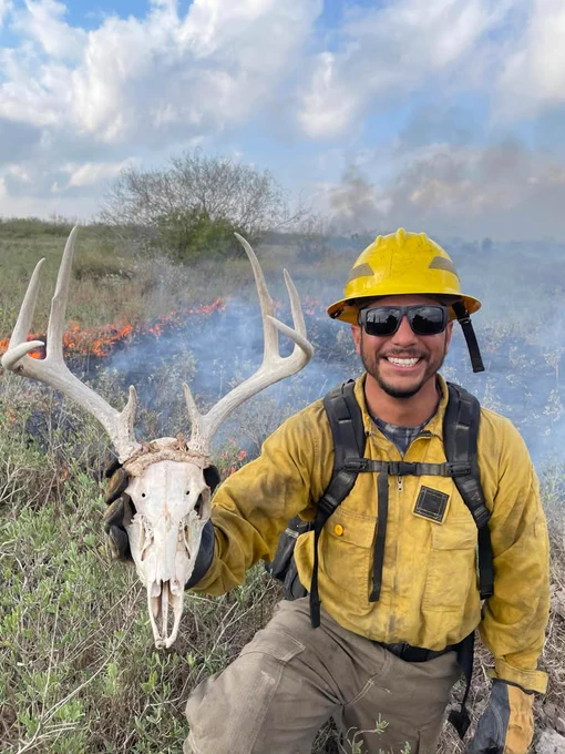 Firefighter in yellow gear kneels in a smoky field holding a found deer skull with antlers during a prescribed burn.