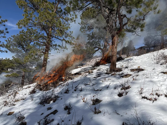 Pile burning in Colorado. The ground is blanketed with snow and the skies are blue. 