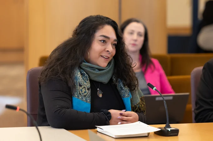 Image of one person presenting at a board meeting.