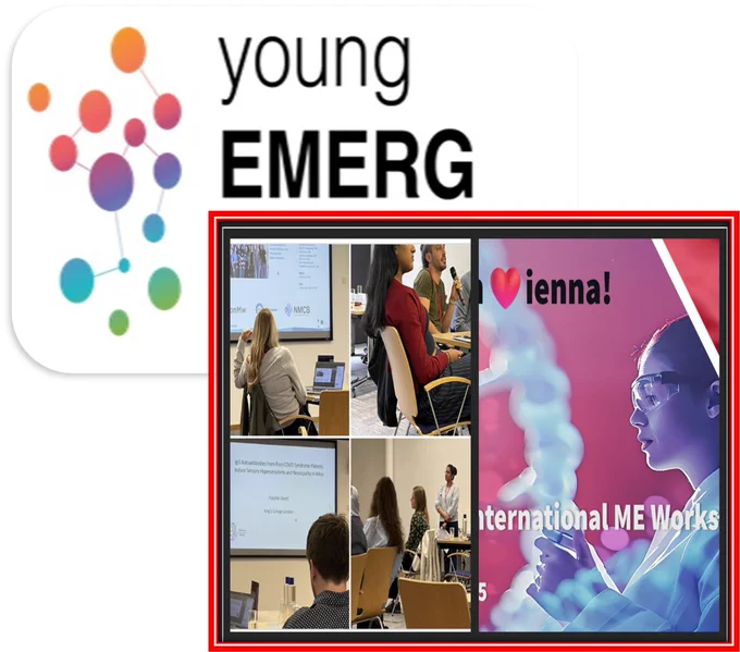 Young EMERG logo plus visual from recent workshop in Vienna