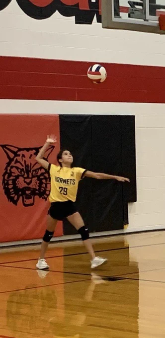 vball