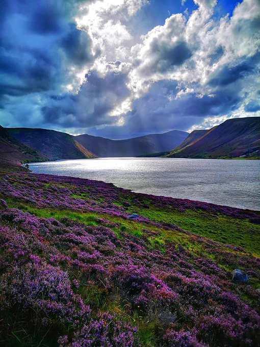 Photo Loch Muick in Balmoral Estate. In the foreground purple blossoms stretch out amongst the green hillside. Rays of sunshine break through large clouds in a brilliant blue sky, shimmering across Lock Muick surrounded by mountains.

What a stunning view! Love the purple!!!


#stunningview #amreading #kathrynquickbook #kathyequickbooks www.kathrynquick.com

📷fb/beautyofscotland1