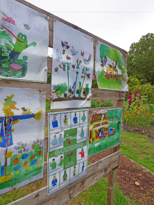 colourful drawings of a garden on a wooden board located in a garden