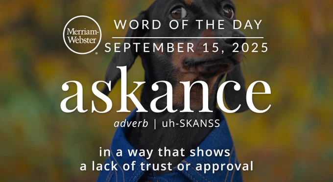 Merriam-Webster Word of the Day for September 15, 2025: 'askance' adverb | uh-SKANSS "in a way that shows a lack of trust or approval" Background Image: A dog with a funny look