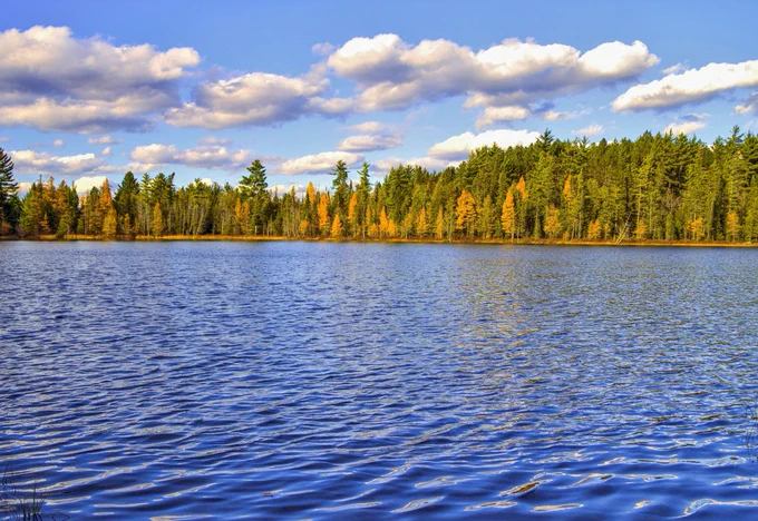 Trees along lake.
