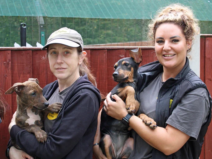 Two members of staff each are holding a puppy outside.