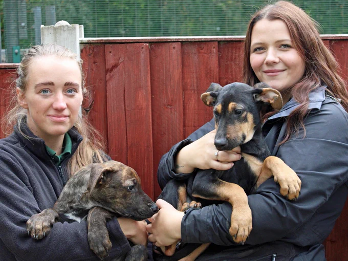 Two members of staff each are holding a puppy outside.