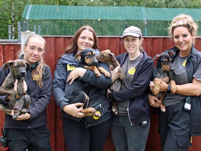 Four members of staff are standing outside smiling, each holding a puppy.
