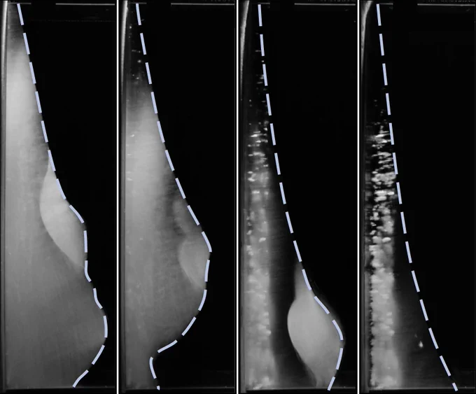 Series of four black-and-white experimental images showing the growth and shape changes of sea ice in a lab tank. Each panel has a dashed blue line tracing the ice edge. Over time, the ice becomes denser and more compact, illustrating how young, porous ice gradually transforms into a thicker, tougher layer.