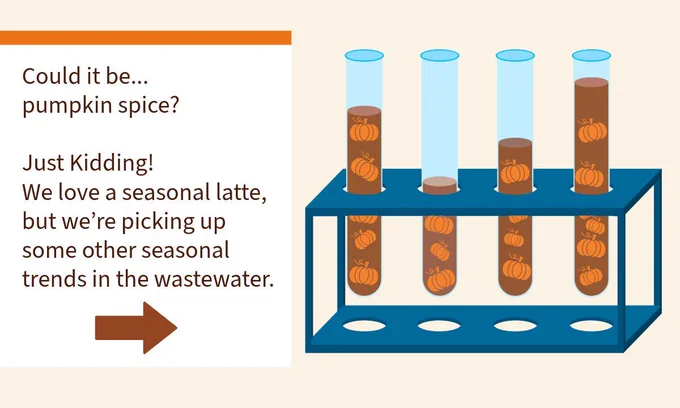 Test tubes of brown liquid with tiny pumpkins floating. With the text “Could it be...pumpkin spice? Just Kidding! We love a seasonal latte, but we’re picking up some other seasonal trends in the wastewater.”