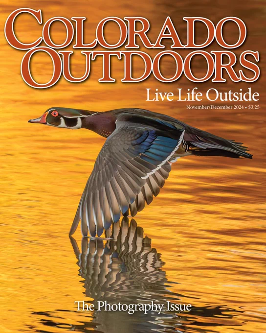 A magazine cover with the words "Colorado Outdoors Live Life Outside The Photography Issue" over an image of a wood duck flying above bright orange water.