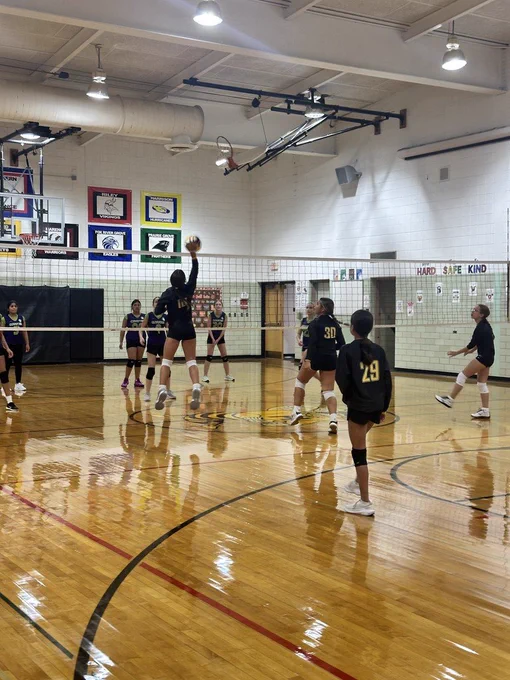 vball