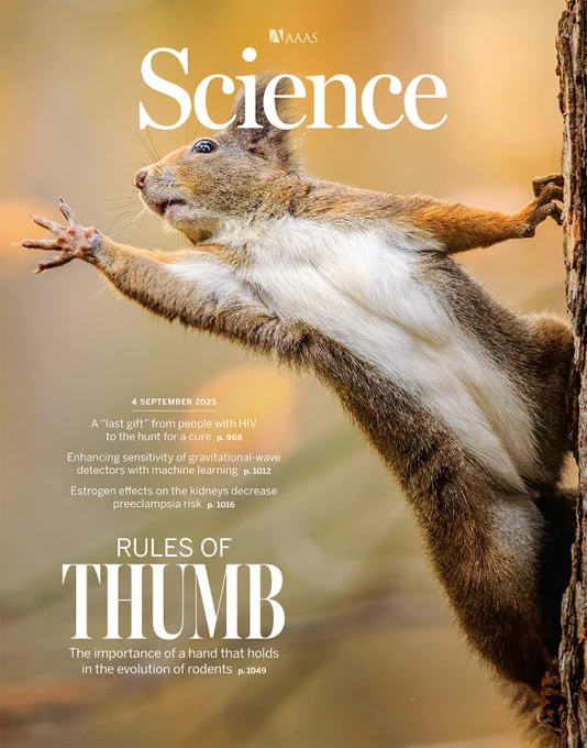 This red squirrel’s hands display tiny nail-bearing thumbs, alongside large claw-bearing digits. 