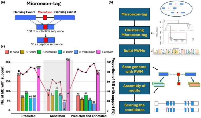 Microexon-tag and microexon prediction method.