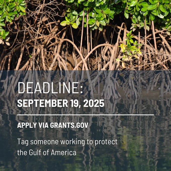 Deadline: September 19, 2025

Apply via www.grants.gov

Tag someone working to protect the Gulf of America